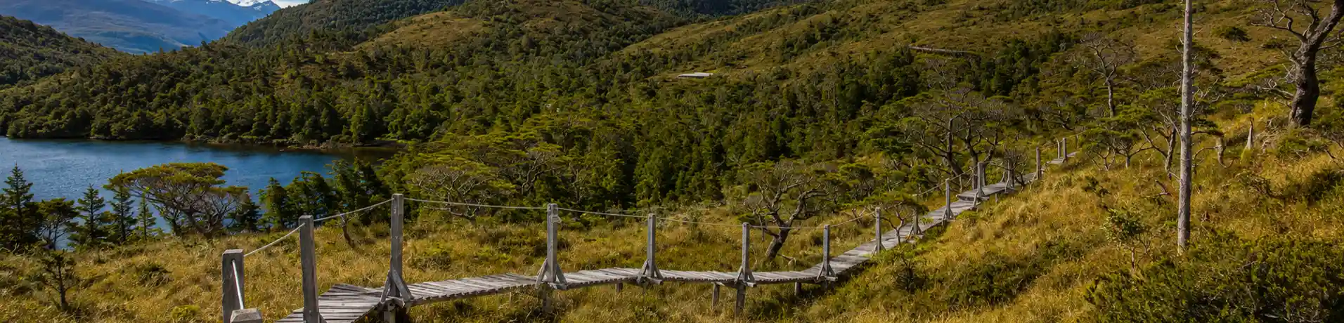 Reserva Natural Francisco Coloane