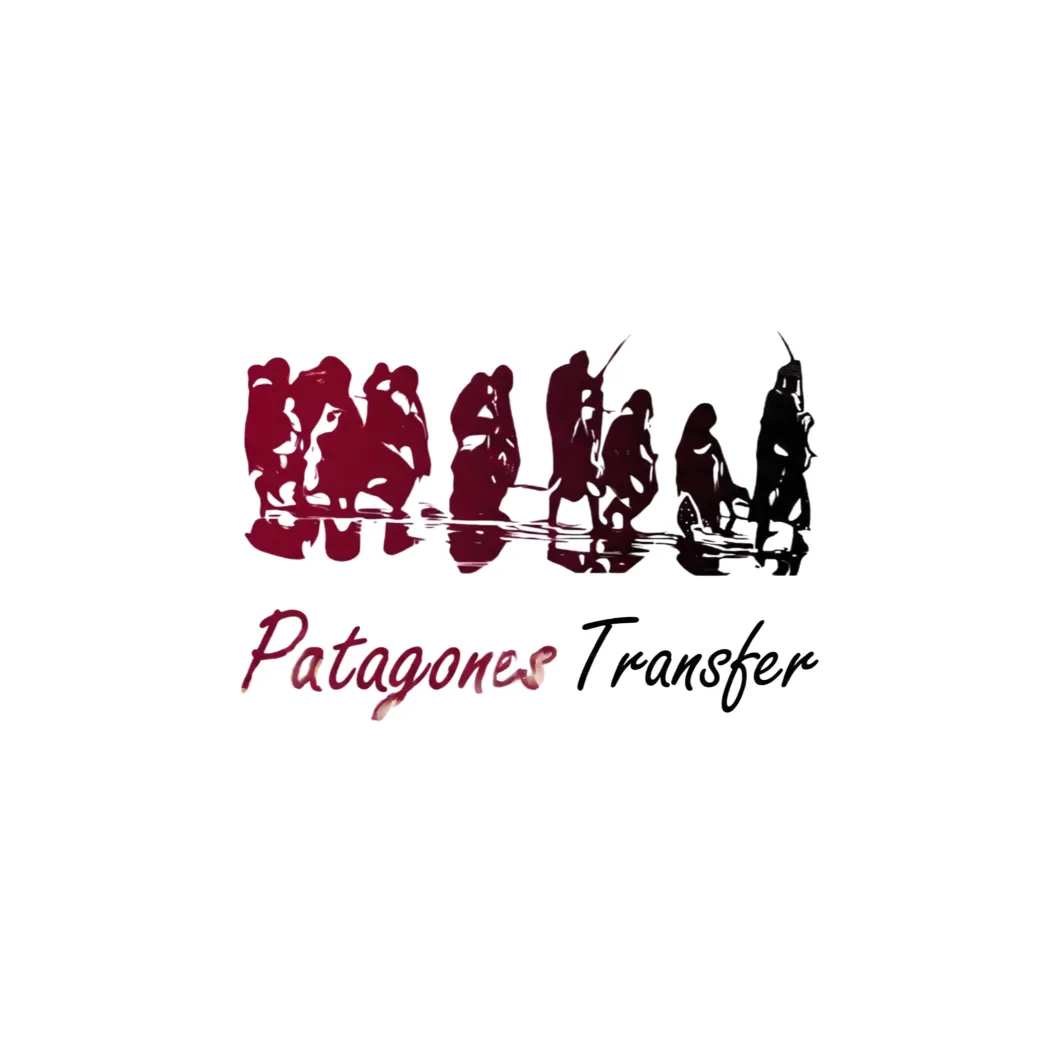 Logo Patagones Transfer